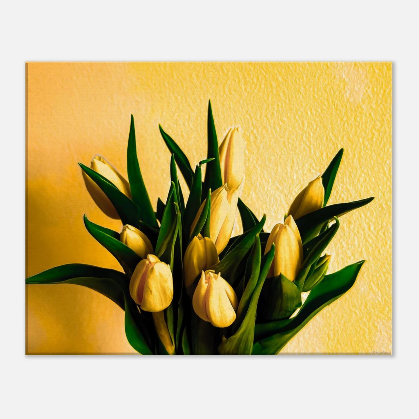 e9acdd8e-0d8d-41b2-ad91-9d365b2e349a