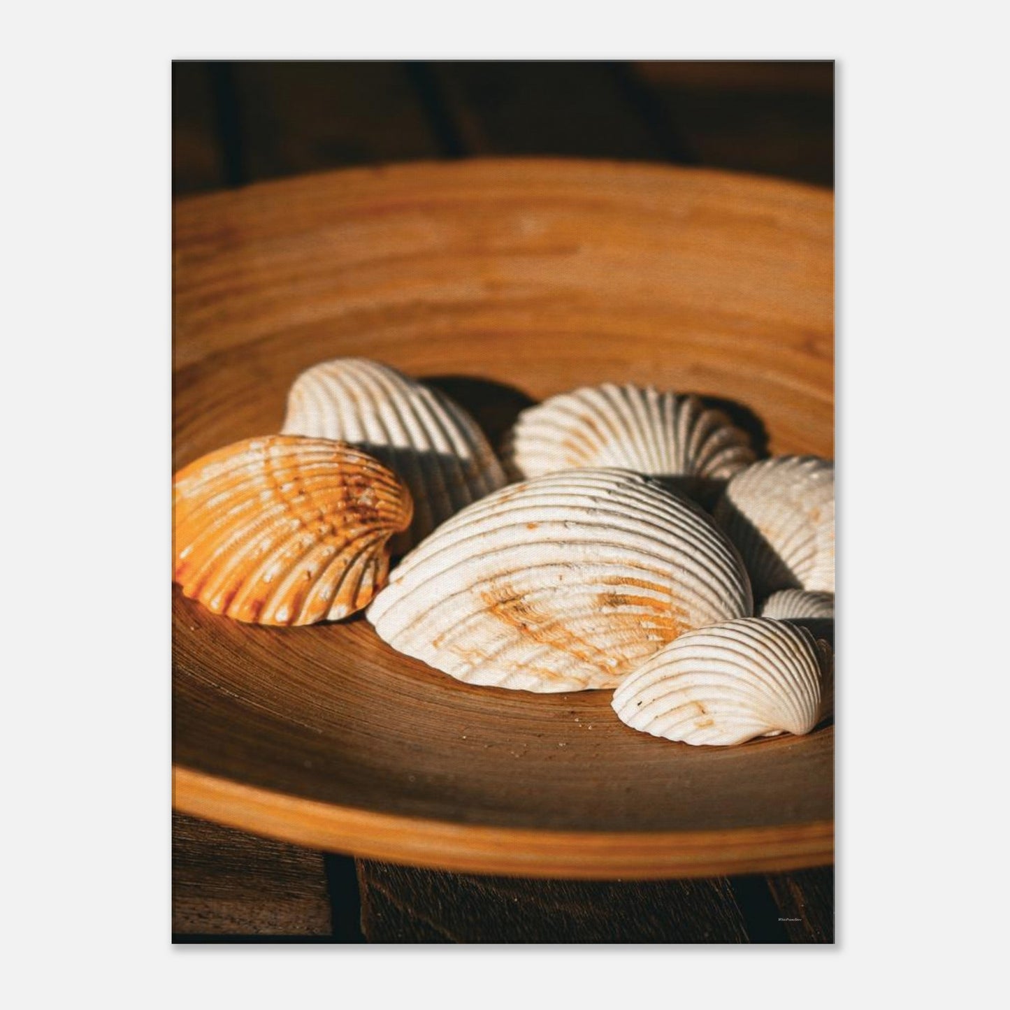 e9c815dd-6096-459a-b60b-7df030c56c8c