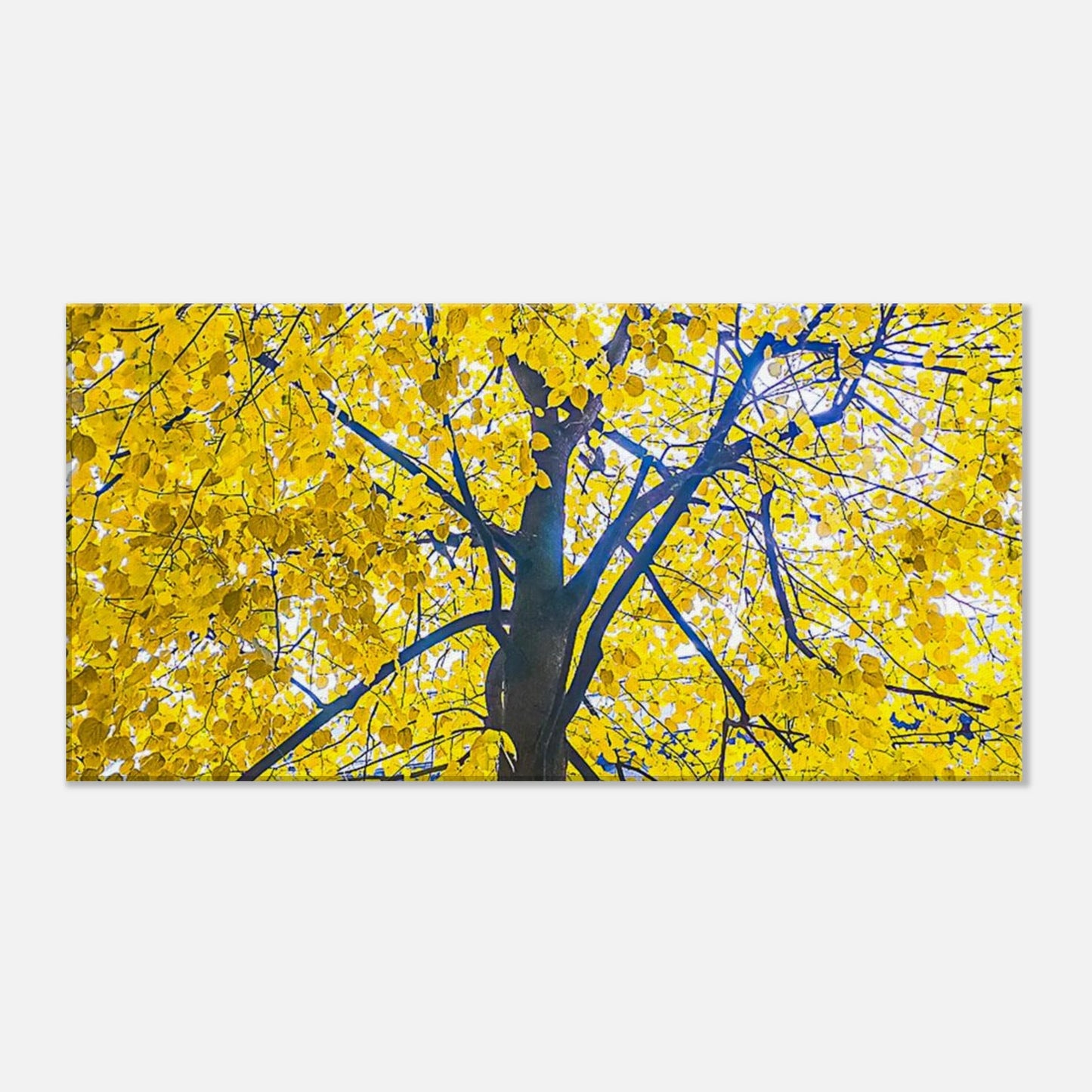 e9c8da50-1dbd-4a7e-9e81-2e5923ab2022