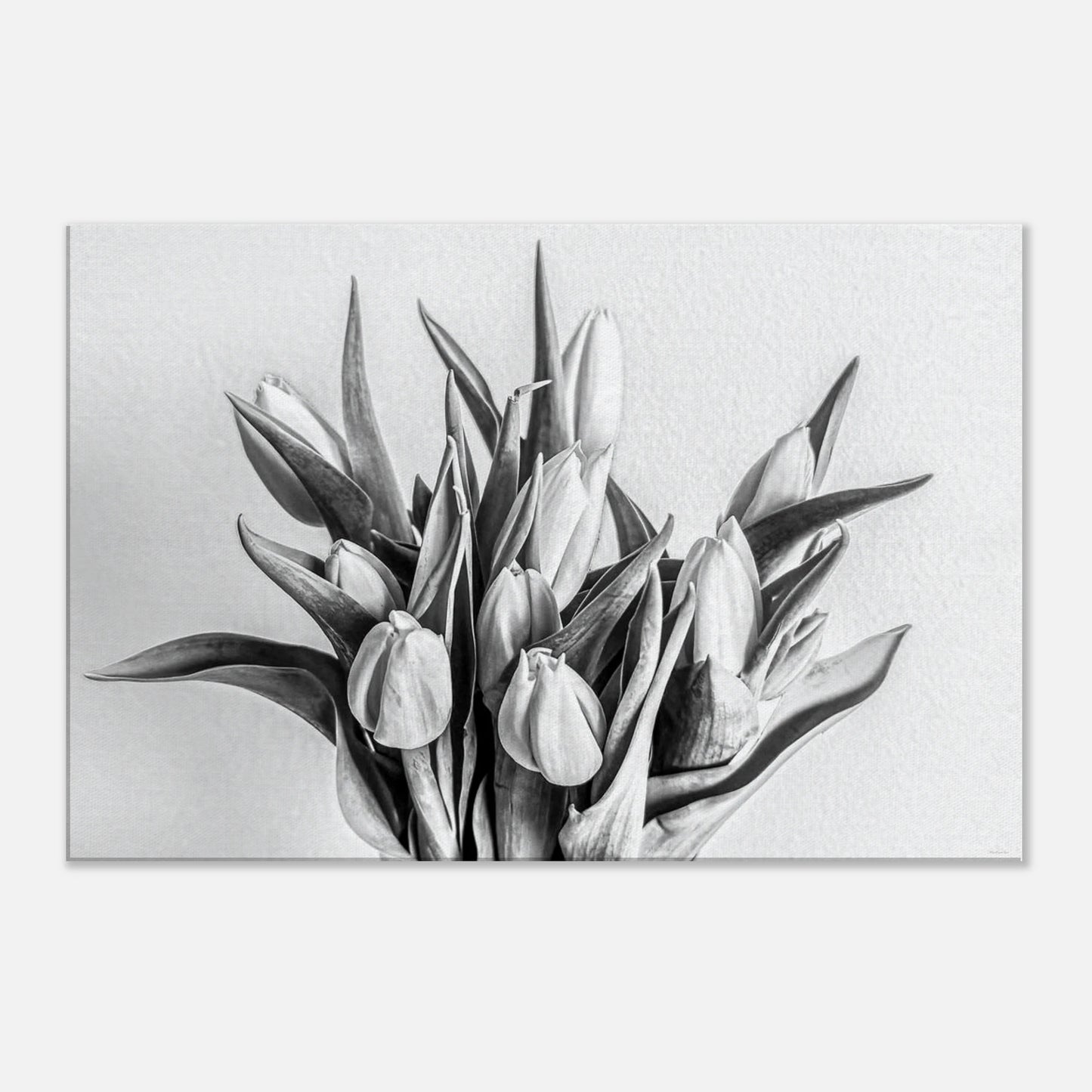 e9d2b05d-7e60-4d1b-bc83-549a51f309a4