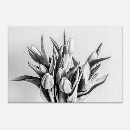 e9d2b05d-7e60-4d1b-bc83-549a51f309a4