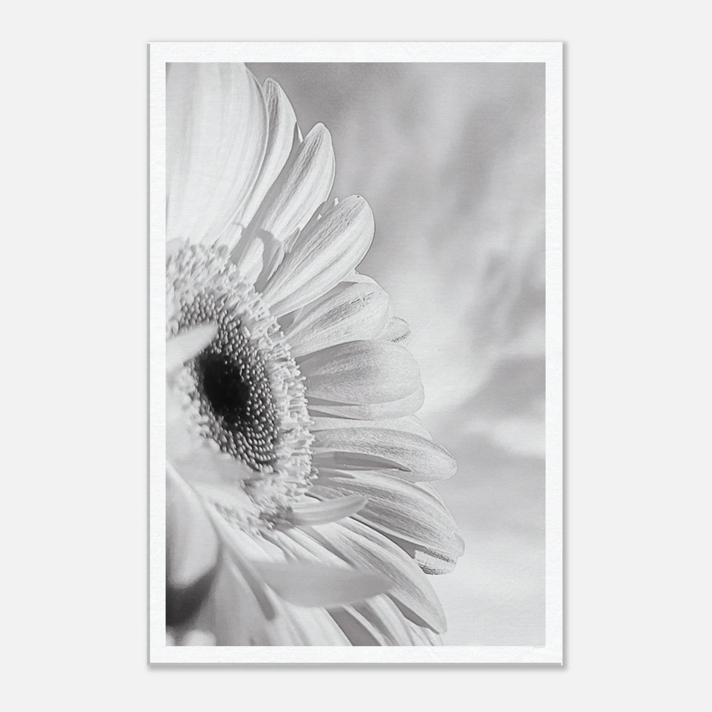 e9dae04a-8d15-4abe-a048-124a63385a2d