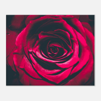 e9e55fe3-8c2d-462e-8541-b1a4e1bd3e72