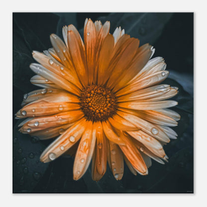 e9f9659f-318f-4242-8432-b40fa3fb42bc