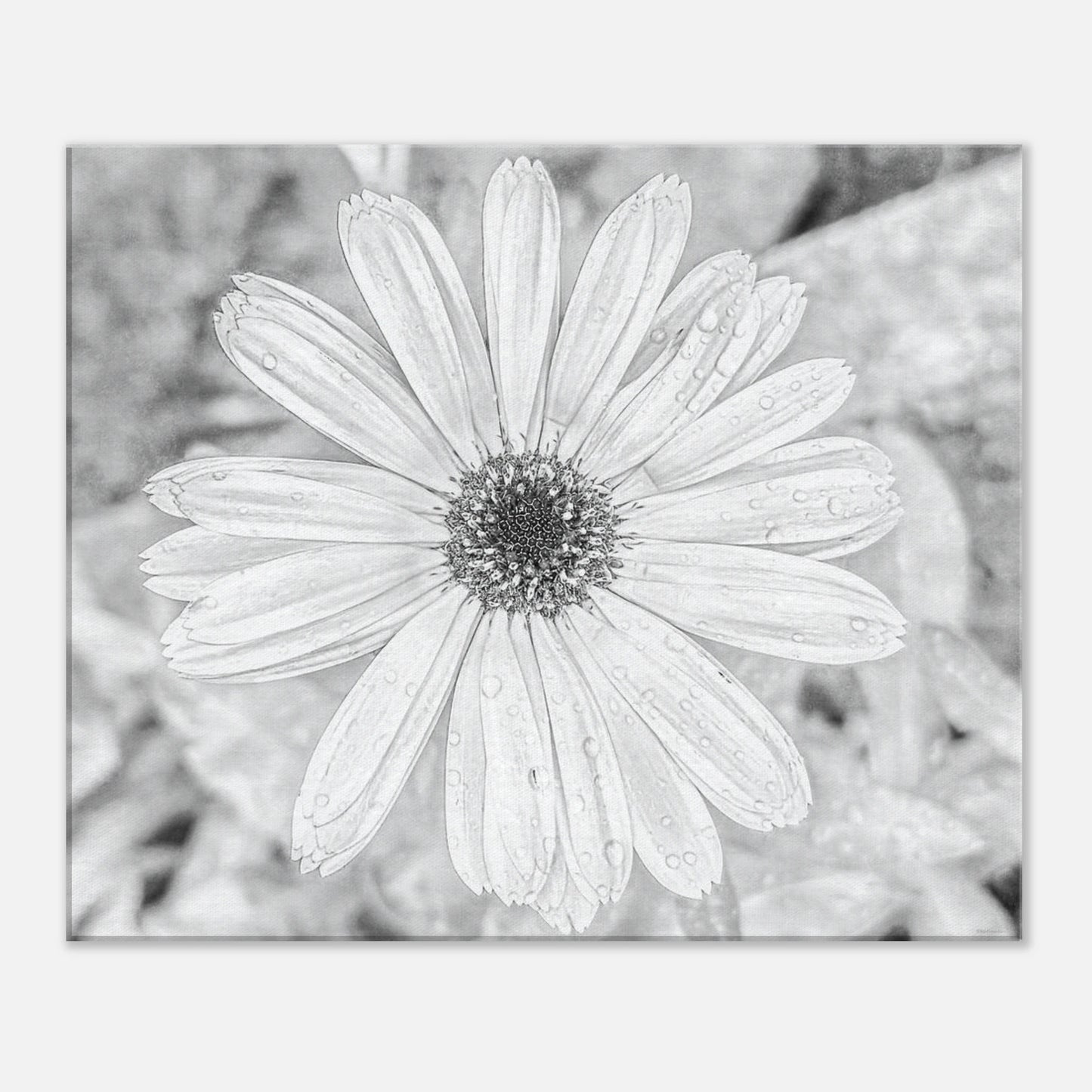 ea03e201-a74d-4ef7-bf07-72c0cd97667a