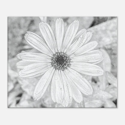 ea03e201-a74d-4ef7-bf07-72c0cd97667a