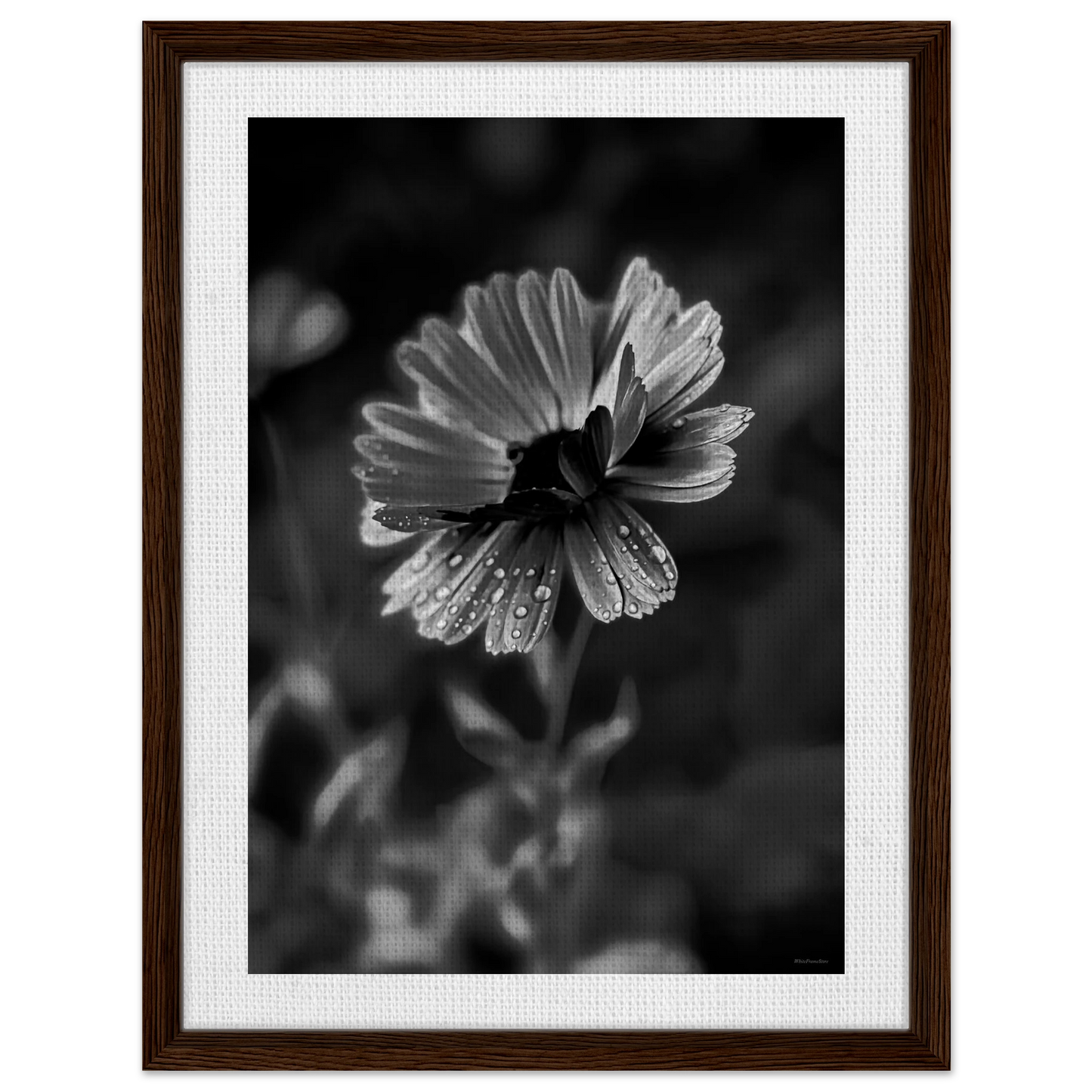 ea1596d8-517b-48af-95b0-2f4de9c1afe5