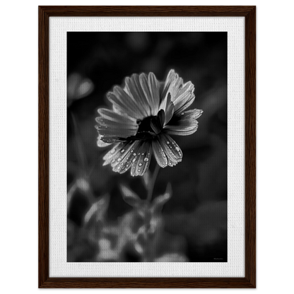 ea1596d8-517b-48af-95b0-2f4de9c1afe5