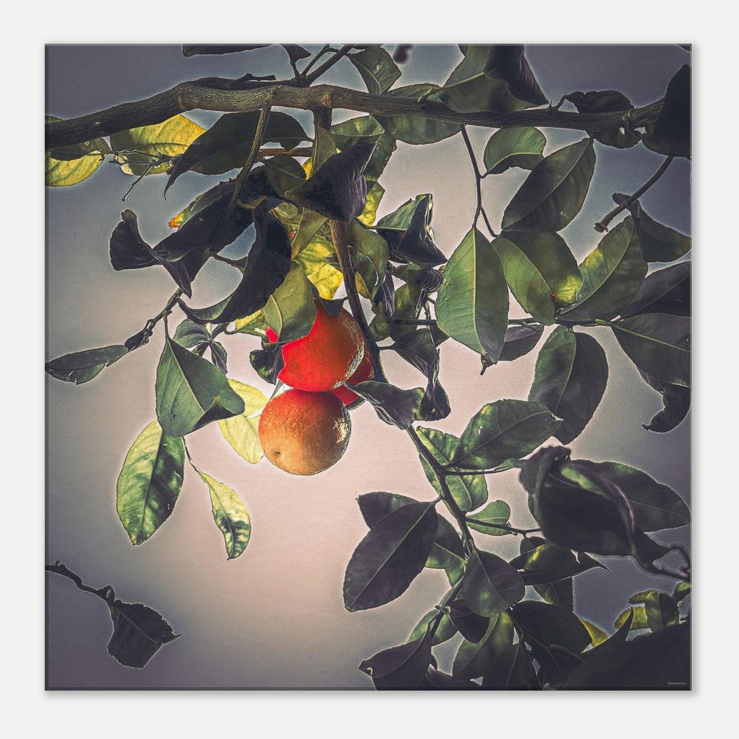 ea36a1db-07dd-48aa-bc79-23bbc4280d72