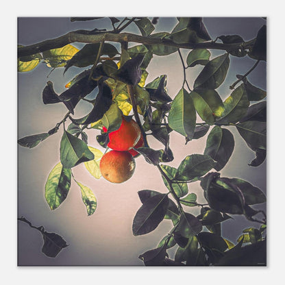 ea36a1db-07dd-48aa-bc79-23bbc4280d72