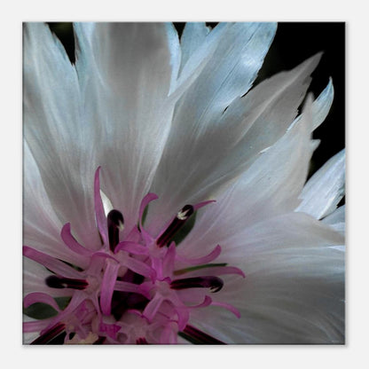 ea51041e-cf21-4a24-b3e5-a1c36e86fcec