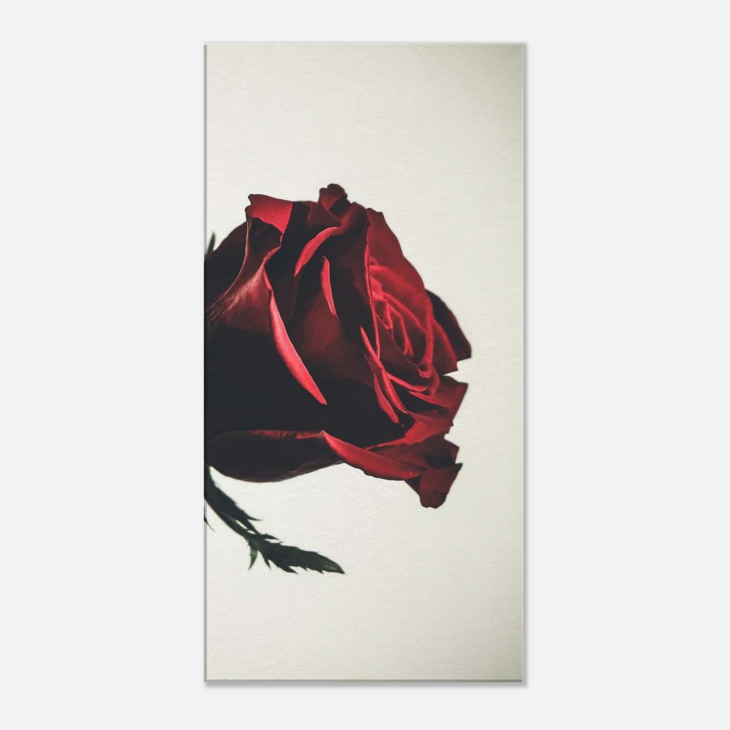 eac001b1-d1f8-4cbf-bdfa-fa8da5a9c99d