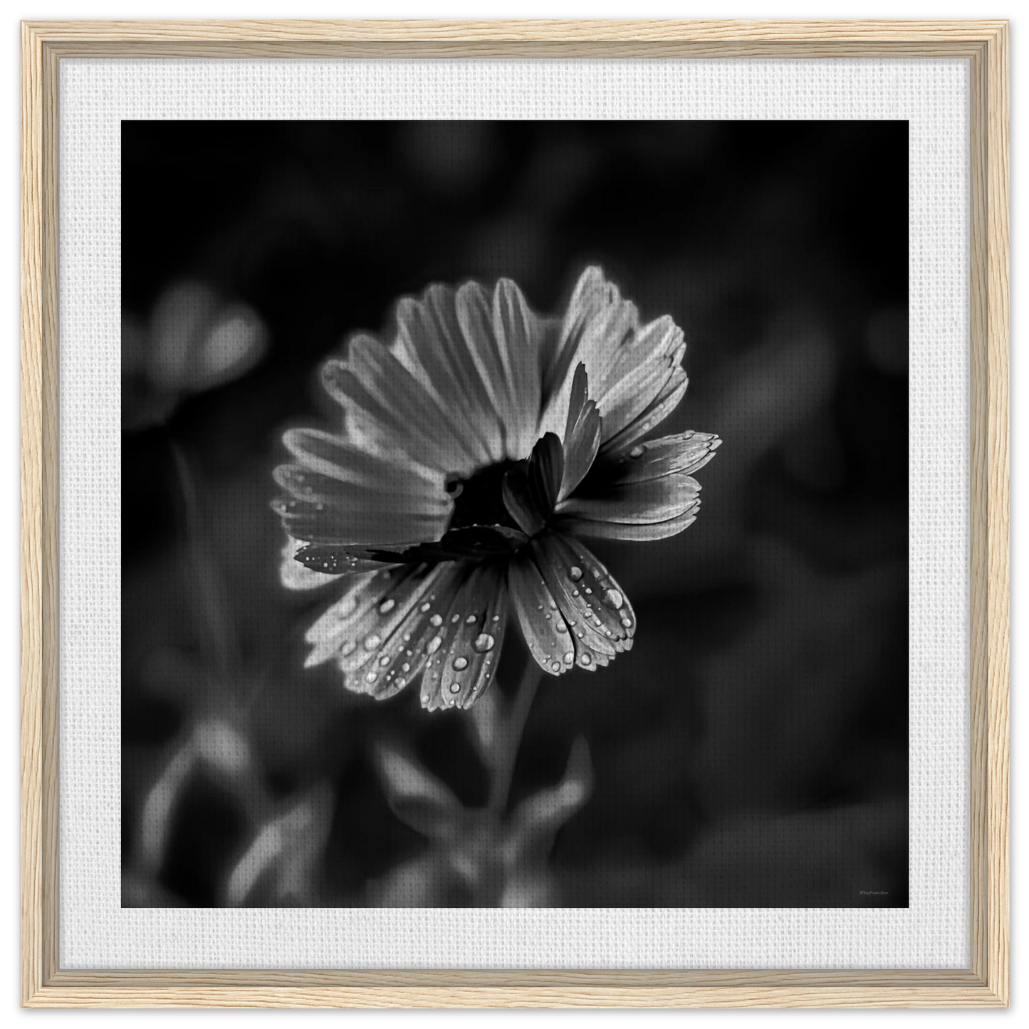 eac415ba-6851-49a9-8ba5-c0eda29ca726