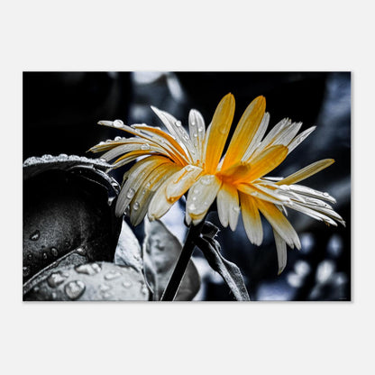 ead9a7ea-0046-4562-a3d7-b023296d025e