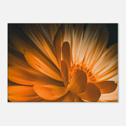 eafbd707-a970-4ece-bfa8-f15b603a589a