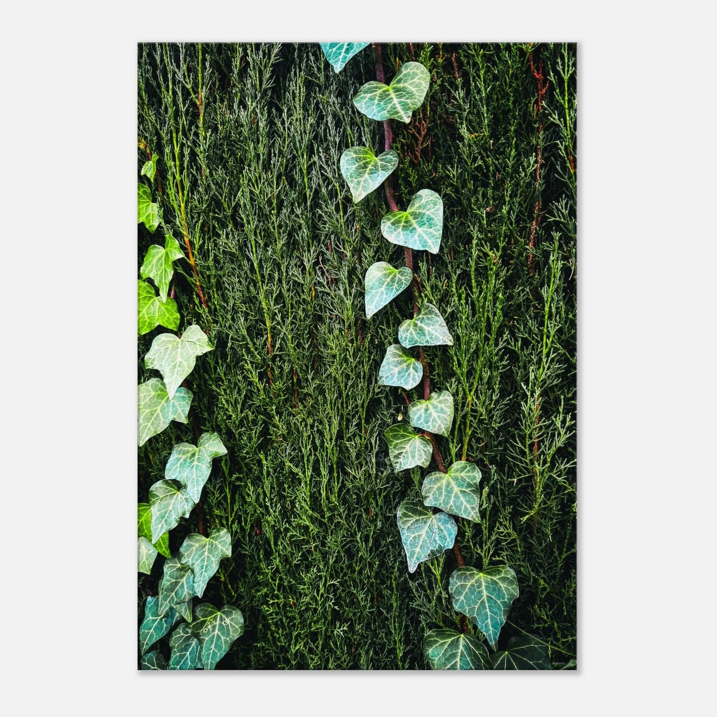 eb080424-aaa1-4319-b9bd-fb08ab3e5d7c