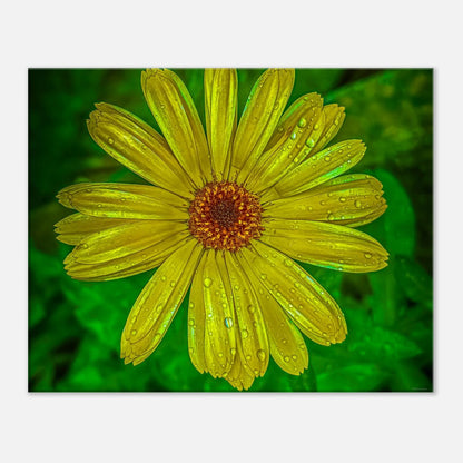 eb1d369a-6324-4a0f-8ac5-2b76367fbaa6