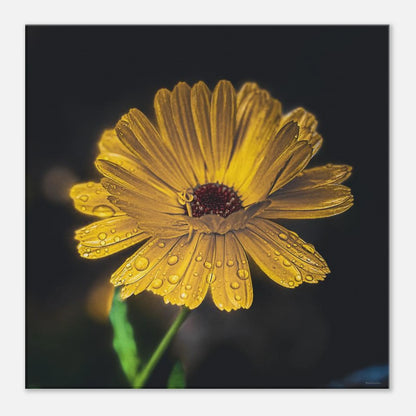 eb2a2109-8575-464c-a6fc-a7b14ff313a0