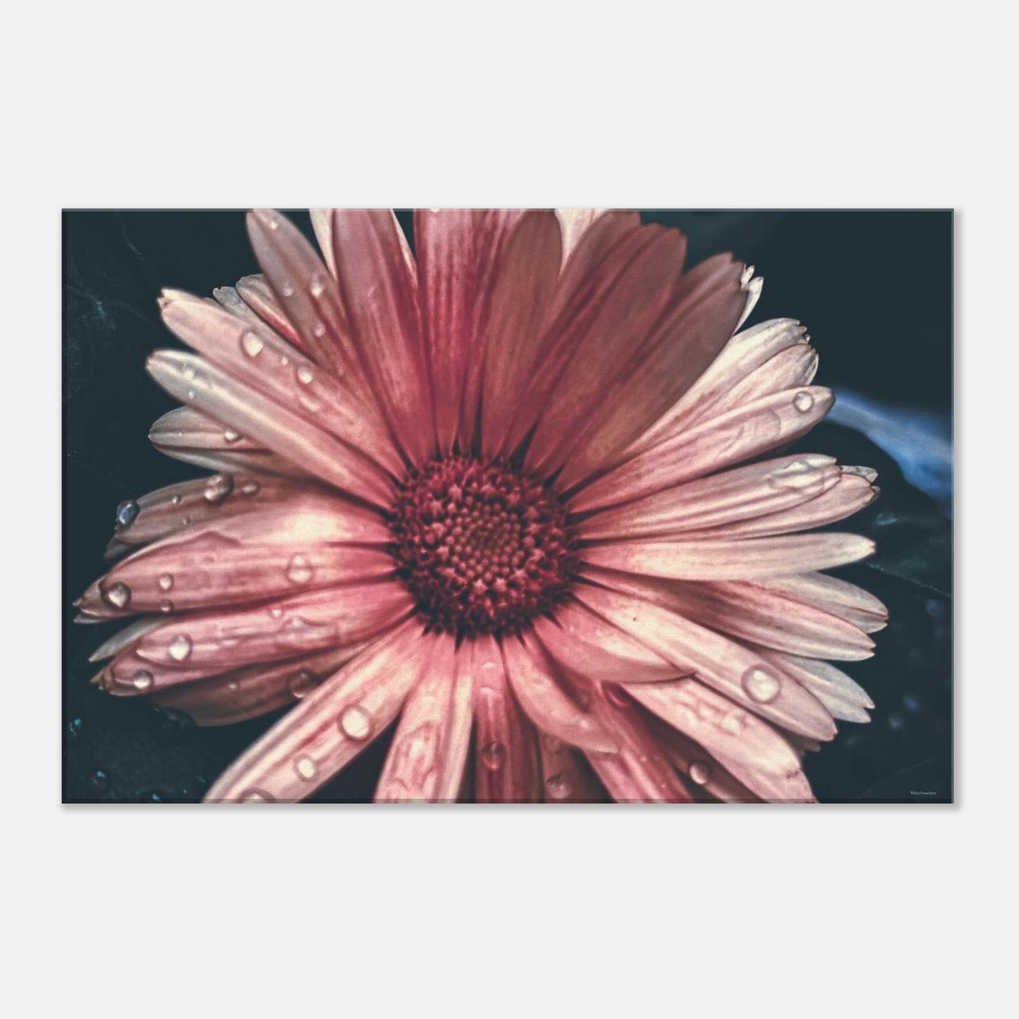 eb88d640-ce01-4e30-a4d5-1b4a1220b257