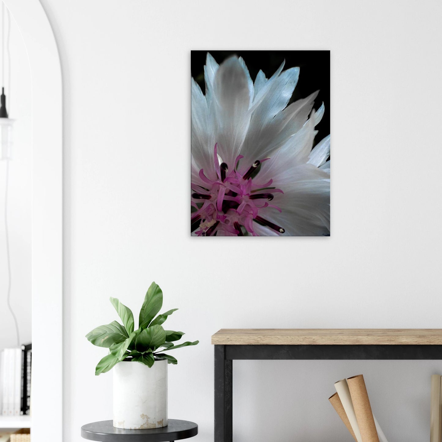 eb8c408a-5c98-4dd6-b8aa-1052458e5e2e