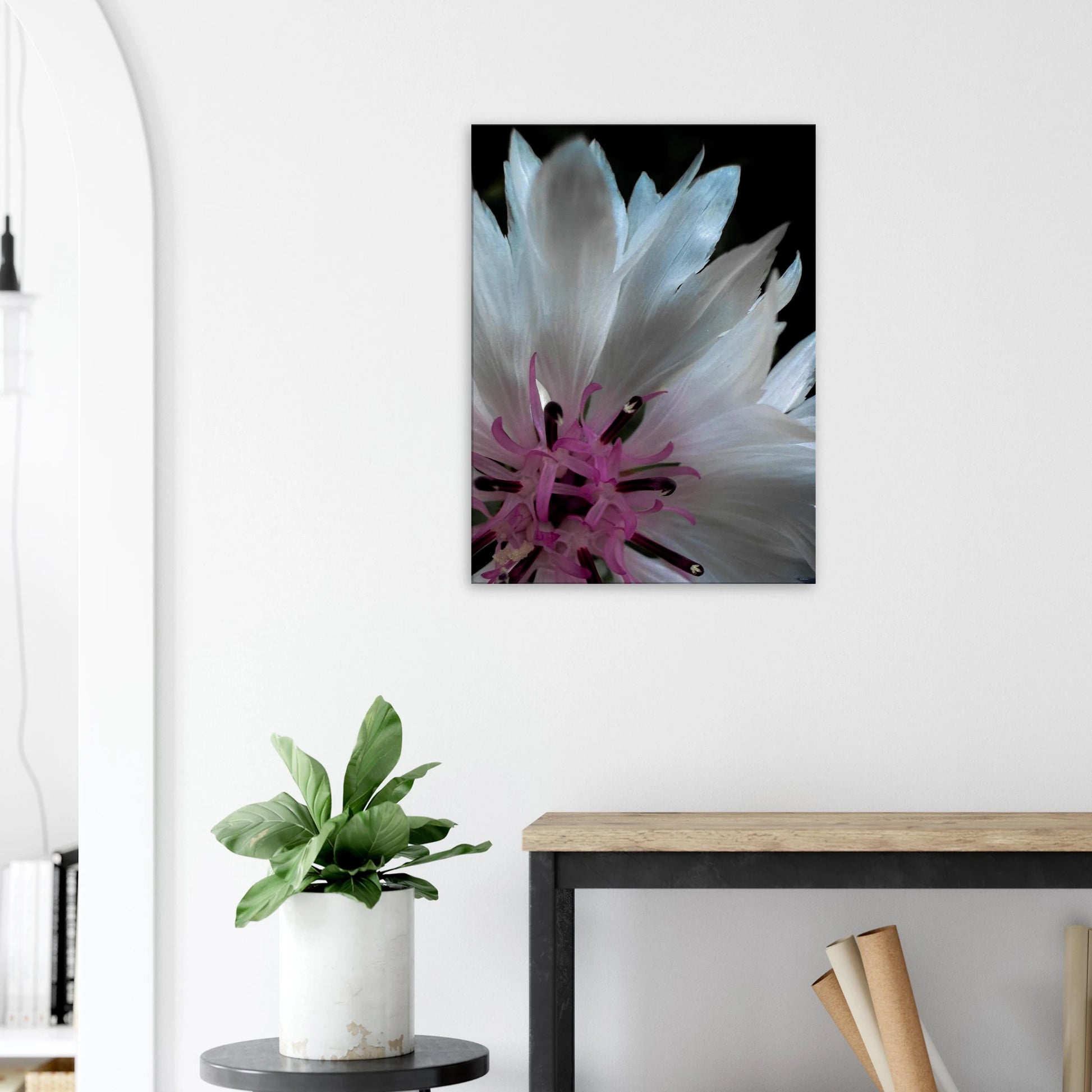 eb8c408a-5c98-4dd6-b8aa-1052458e5e2e