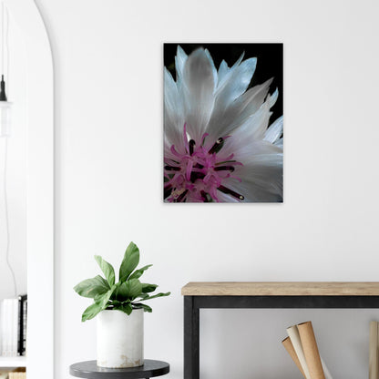 eb8c408a-5c98-4dd6-b8aa-1052458e5e2e