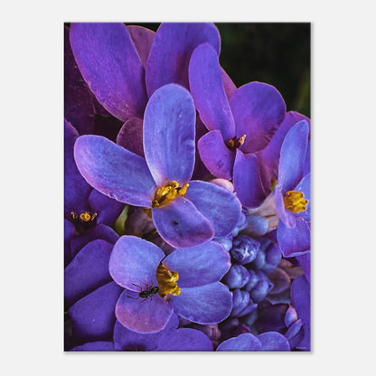 eb8eaeab-ea3c-405b-855c-8dd4610f4d49