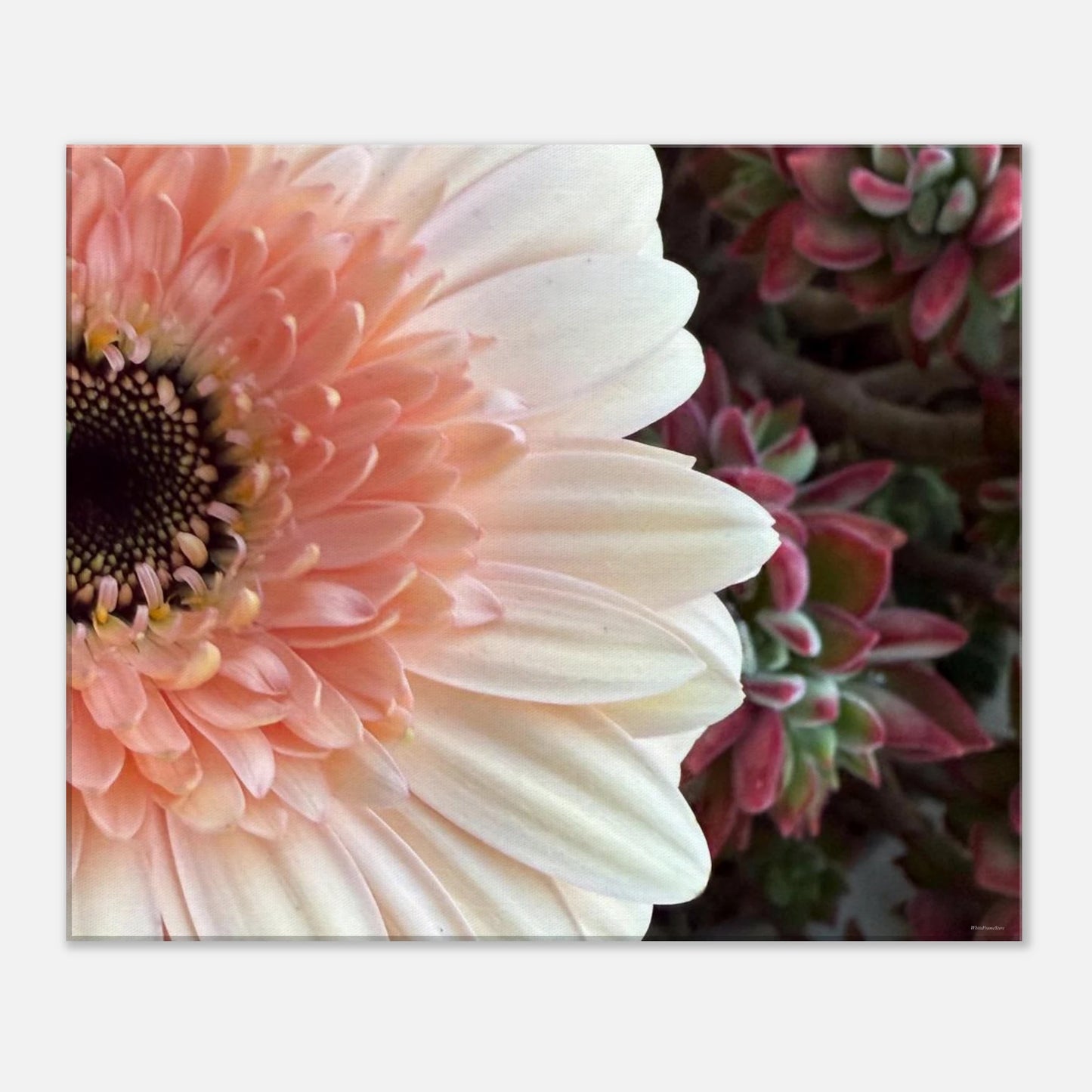 ebc5aa4a-98c0-4bd9-b979-928683a048ba