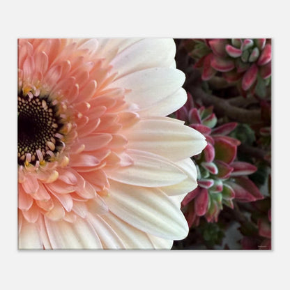 ebc5aa4a-98c0-4bd9-b979-928683a048ba