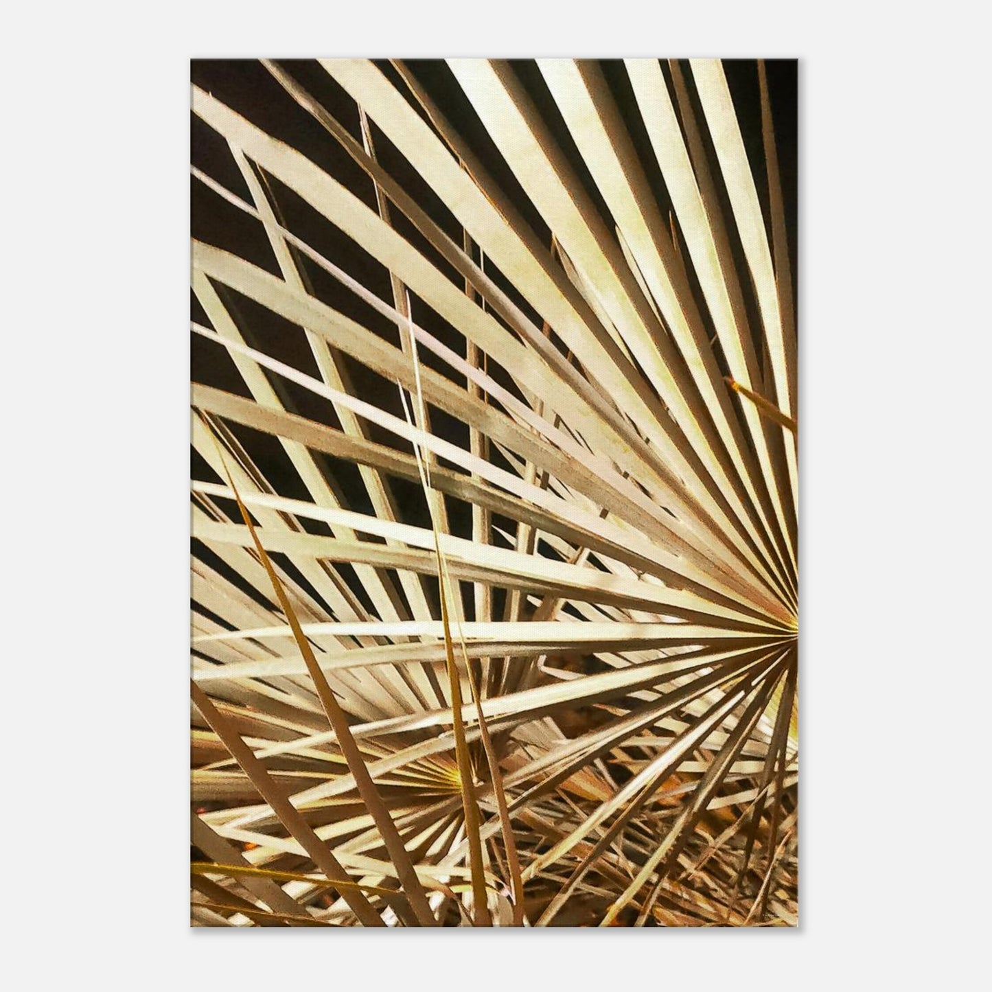 ebdd7b81-873e-4633-91c3-93a32e04b812