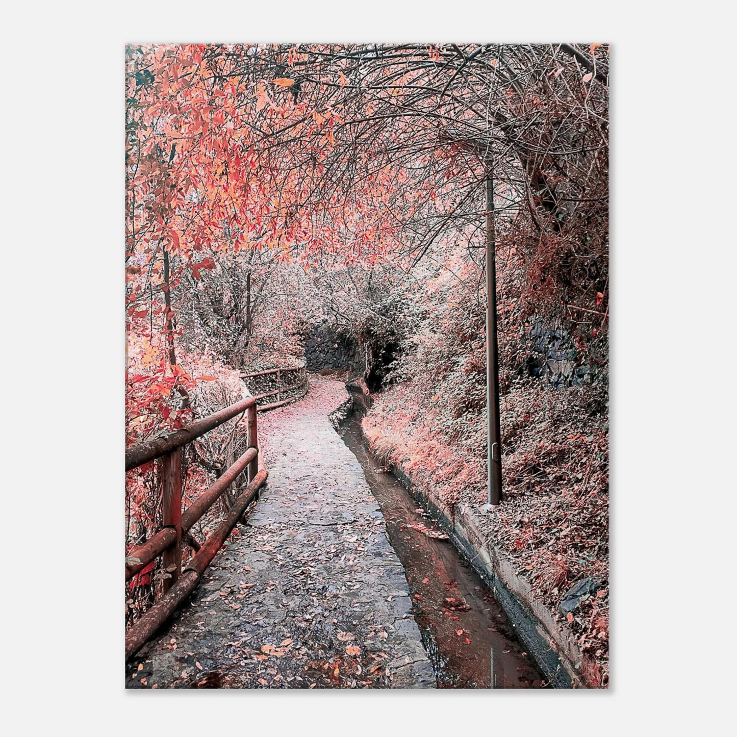 ec397f6d-9e94-4166-8e85-48dbb22b6c57