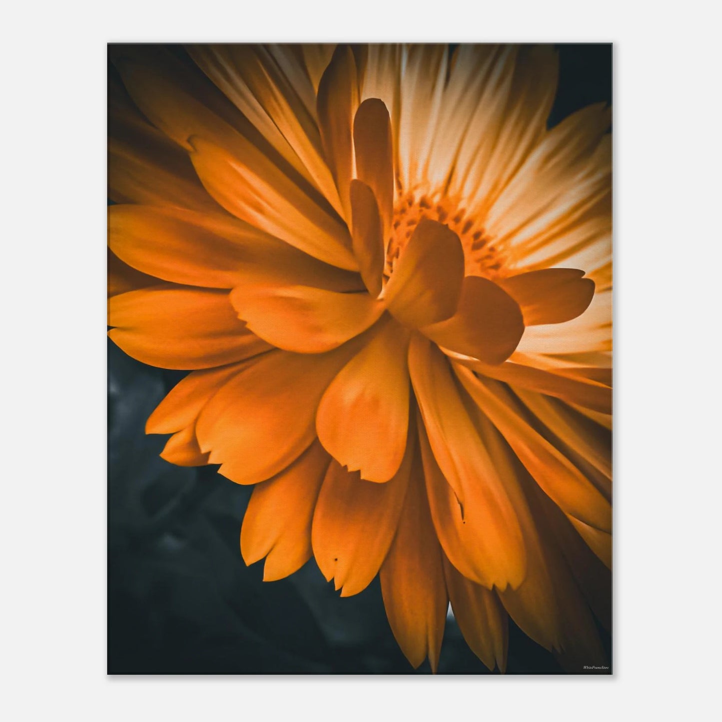 ec935873-2e23-4a22-b86b-7ecfa4ae06e0