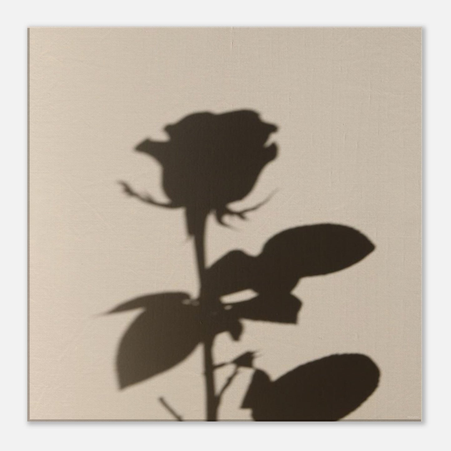 ecc9deb7-0d26-472e-8d1e-edd7336d43df