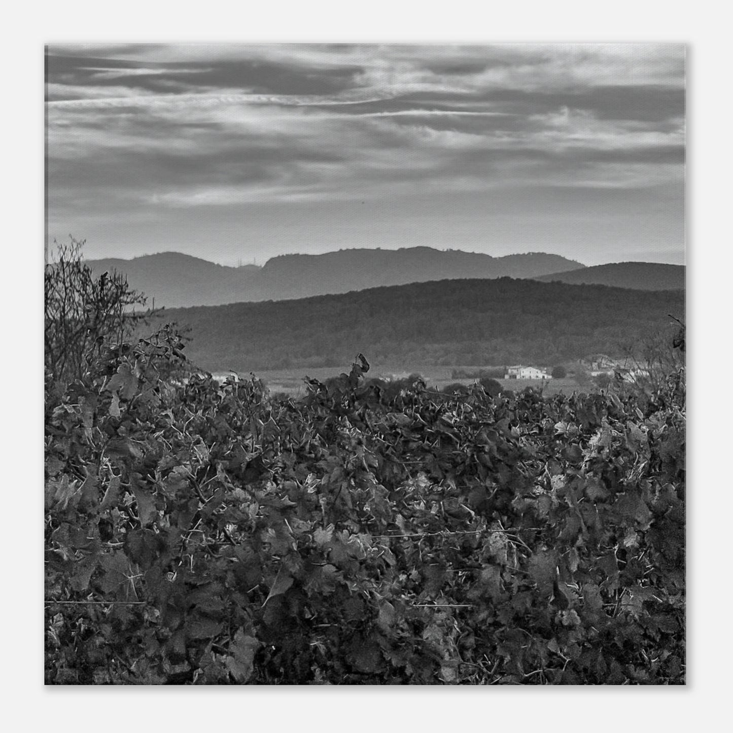 ecd2767c-0709-421c-934d-91dc3801410d