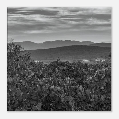 ecd2767c-0709-421c-934d-91dc3801410d