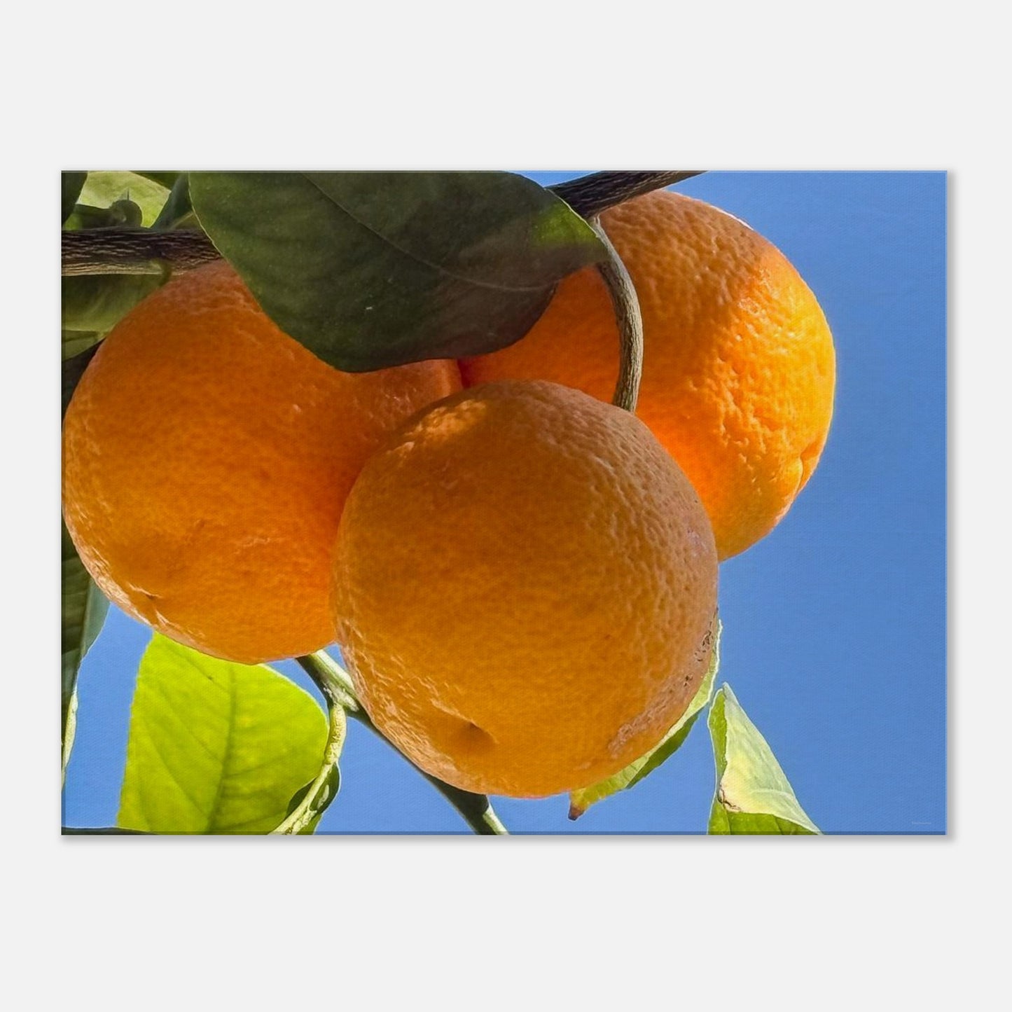 ecd3993d-aebd-4706-a3a9-95d84802ee14