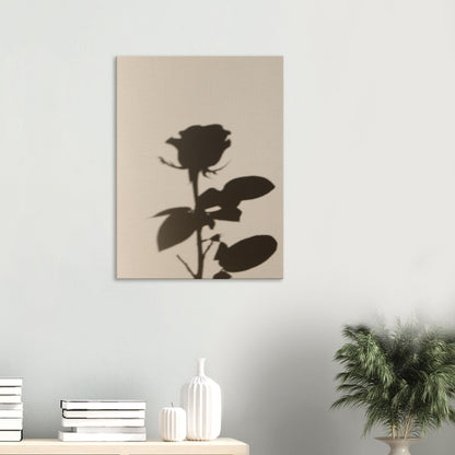 ece9562a-5e2f-4a8d-897c-d590e32ba109