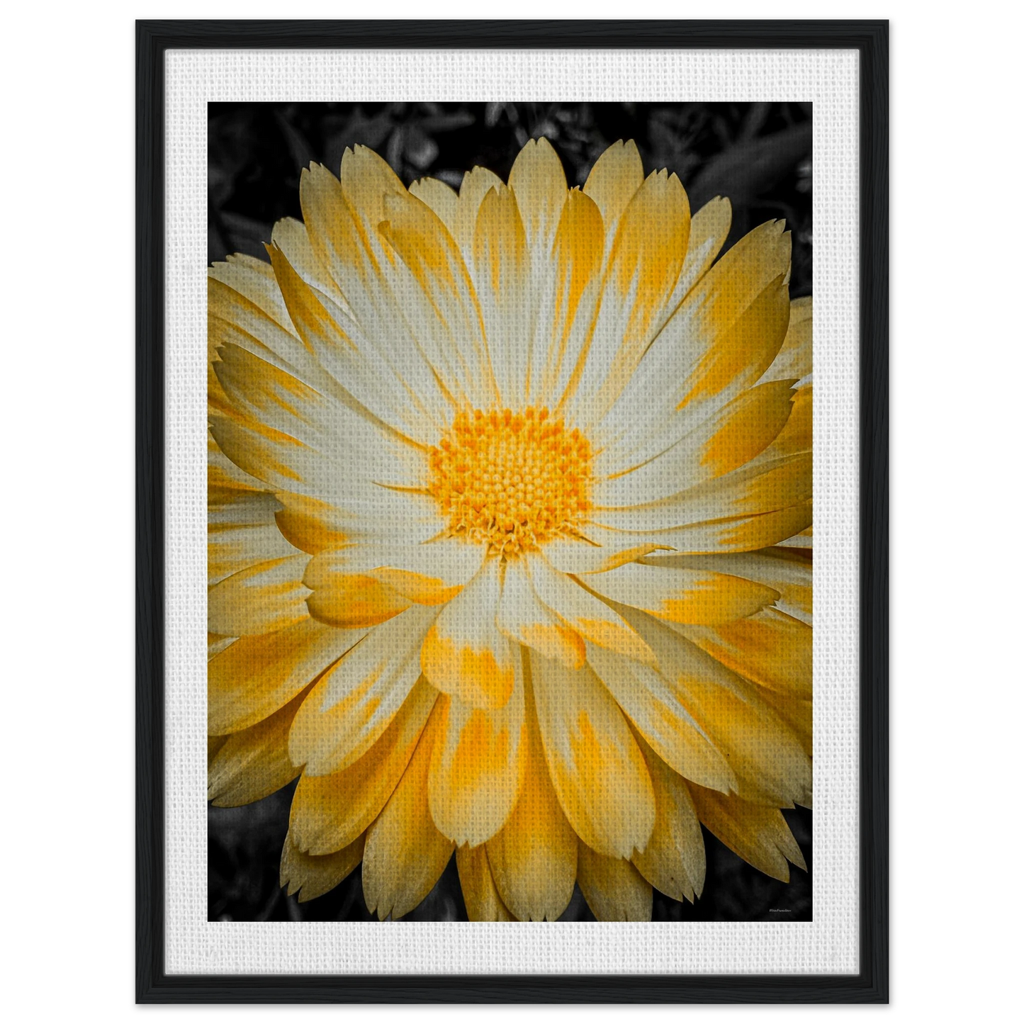 ecff5d60-a607-4c30-b5c2-53b0210787b4