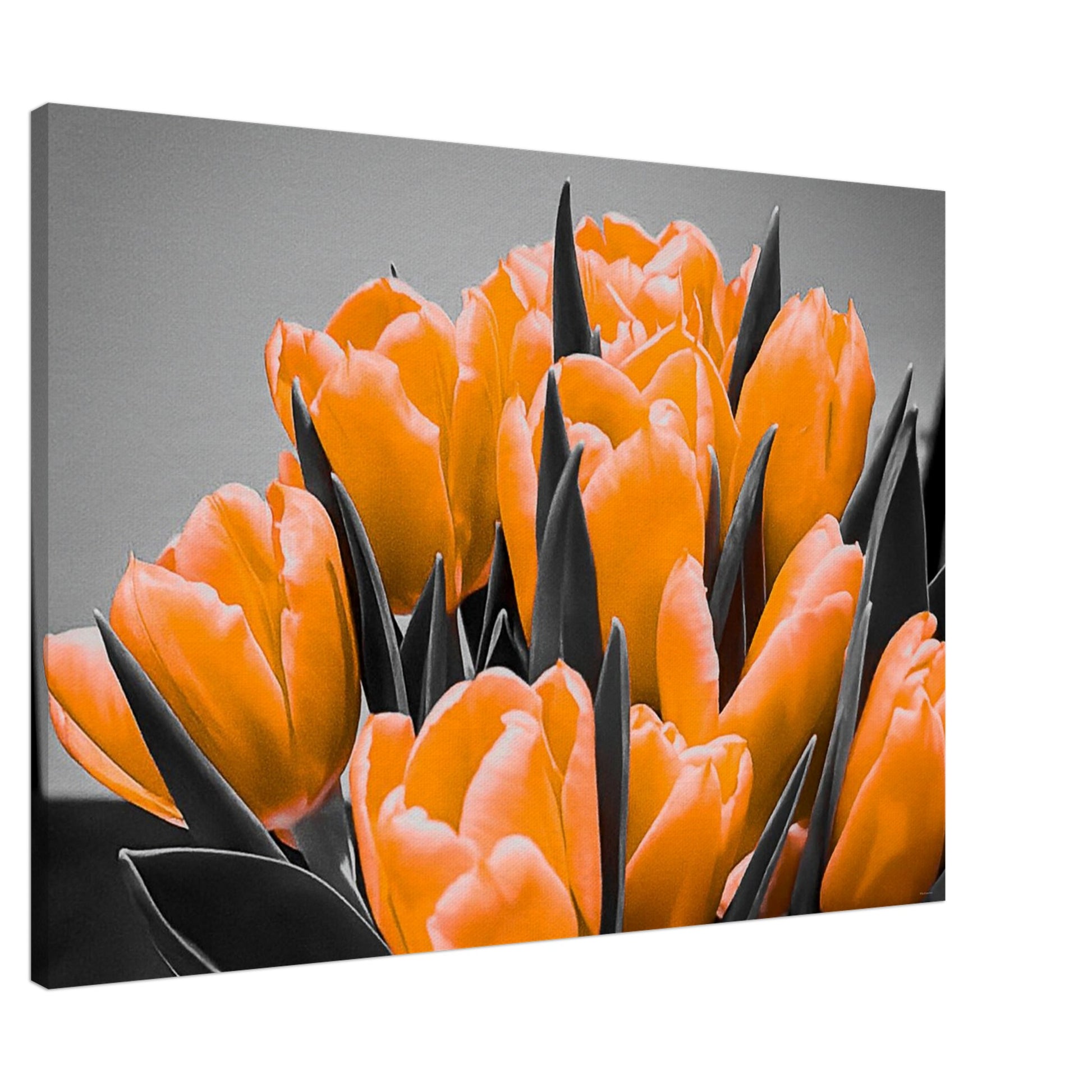 ed21468a-eee4-4b94-ad8c-3772276dd51e