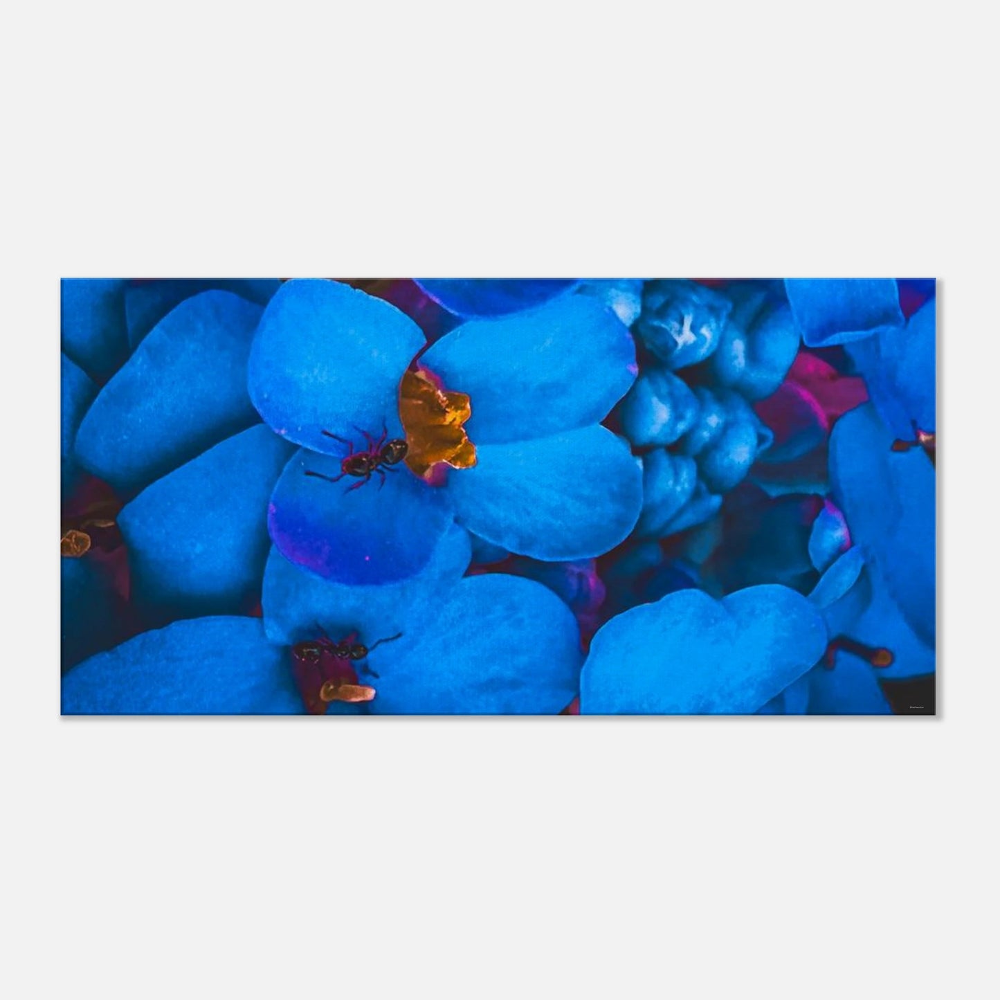 ed3f2be9-0193-4949-a188-5277bbfe165a