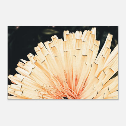 ed499c95-e89e-4b42-8141-228a398f2f11