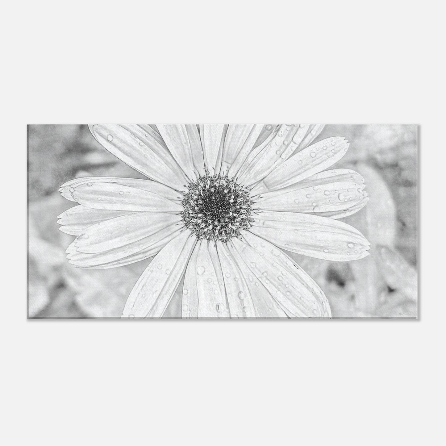 ed4a2ad3-54df-41b2-b9e2-a08361f83e7a