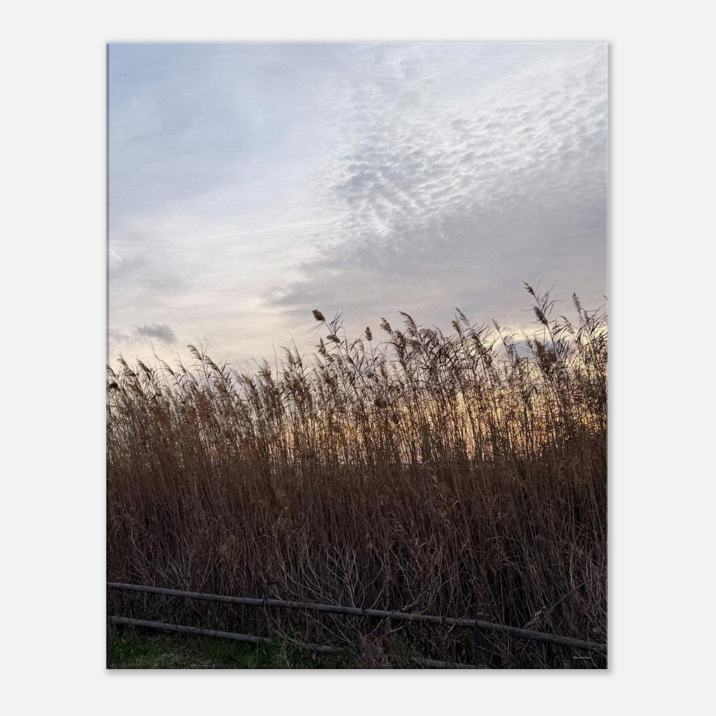 ed56011f-48e4-4d7c-a622-02dec654b7d1