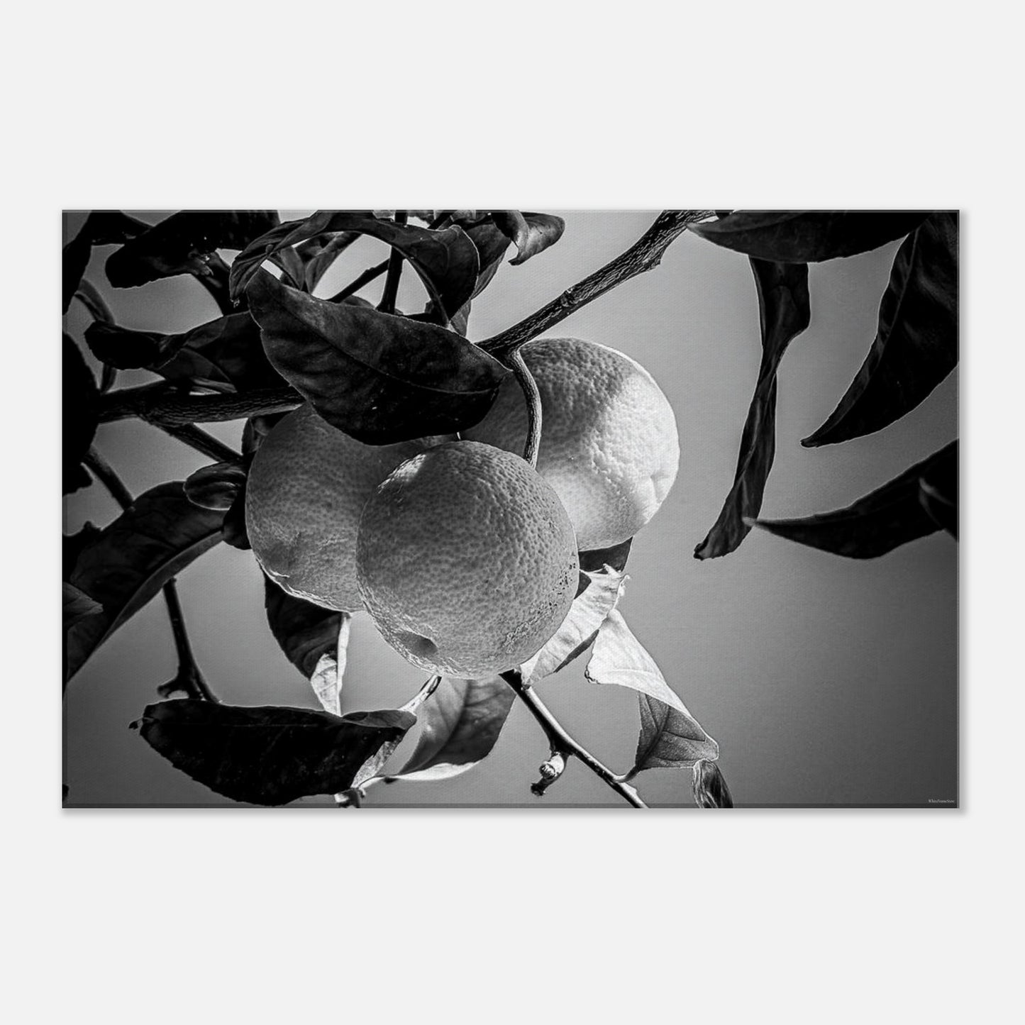 ed7bfab0-efbe-4449-ba75-89ce0e0ee7ad