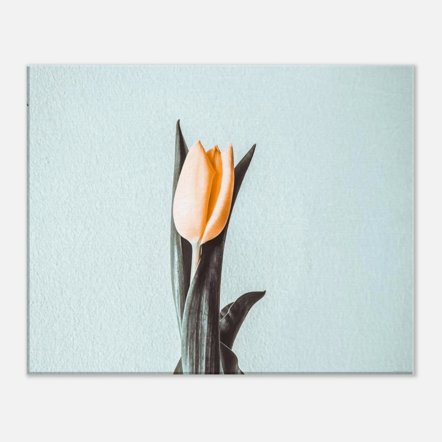 ed88d7bf-a438-4699-9ac2-e03f6f2a59de