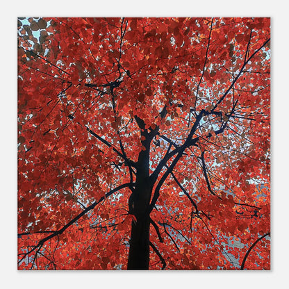 eda2b415-4750-4f2f-836c-665948197e81