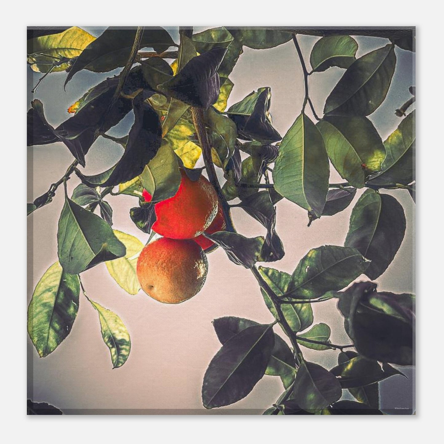 edb2dda4-aa0a-457b-93cd-0f7731d47ac5