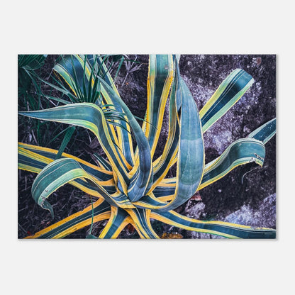 ede9123d-0b5d-4060-b836-d9b3f7dcb656