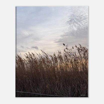 ee011057-c011-4009-ac28-16b2132e4f30