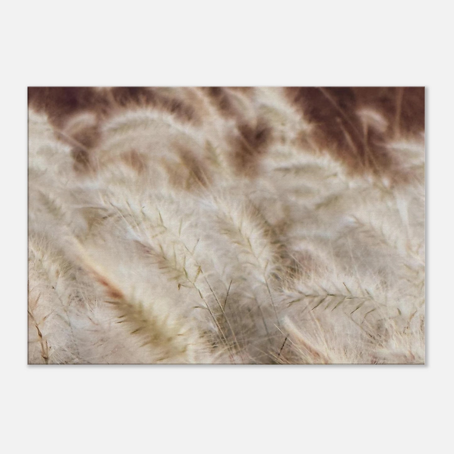 ee01ec66-b45d-4987-bcc4-dafed1ae83ab